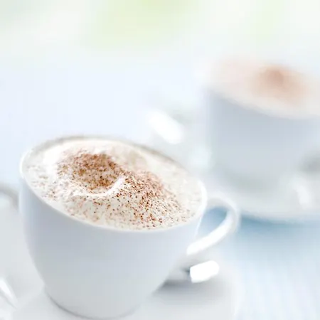 Bergstudio Ii I I Laax I I Caumasee Appartement Flims