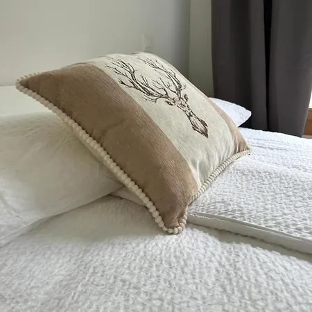 Bergstudio Ii I I Laax I I Caumasee * Flims