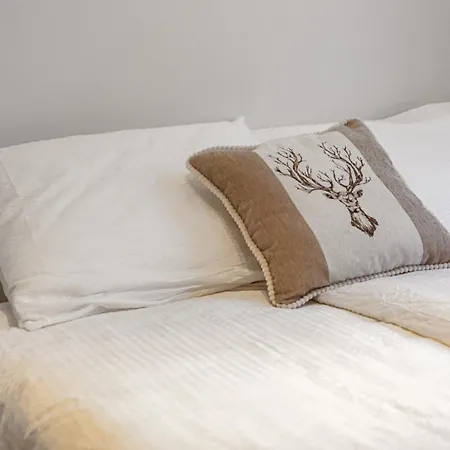 Bergstudio II I Flims Laax I Ski I Berg I Gartis Parkplatz Appartement