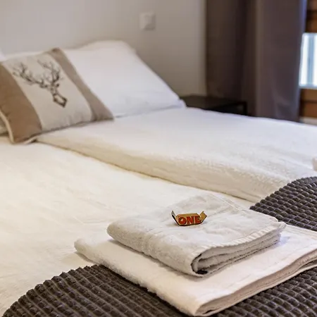 Bergstudio Ii I Laax I I Berg I Gartis Parkplatz Flims