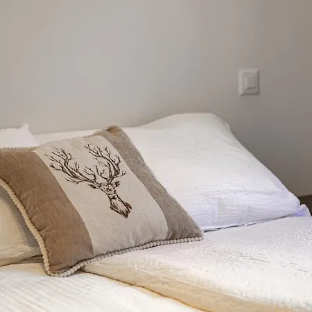 Bergstudio Ii I Laax I I Berg I Gartis Parkplatz