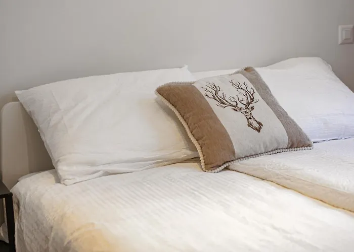 Bergstudio II I Flims Laax I Ski I Berg I Gartis Parkplatz Apartman